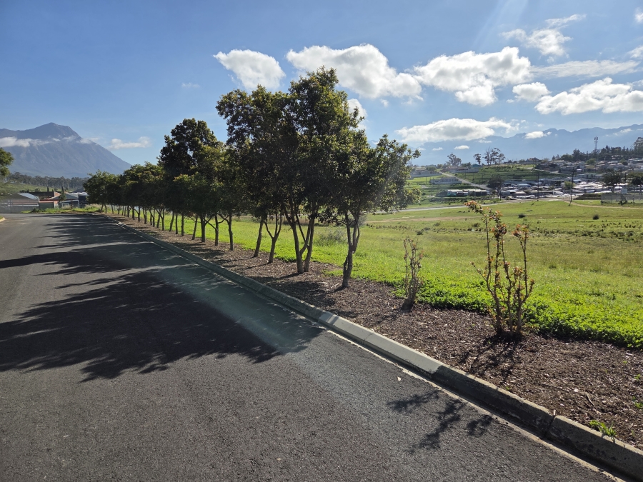 0 Bedroom Property for Sale in Tulbagh Western Cape